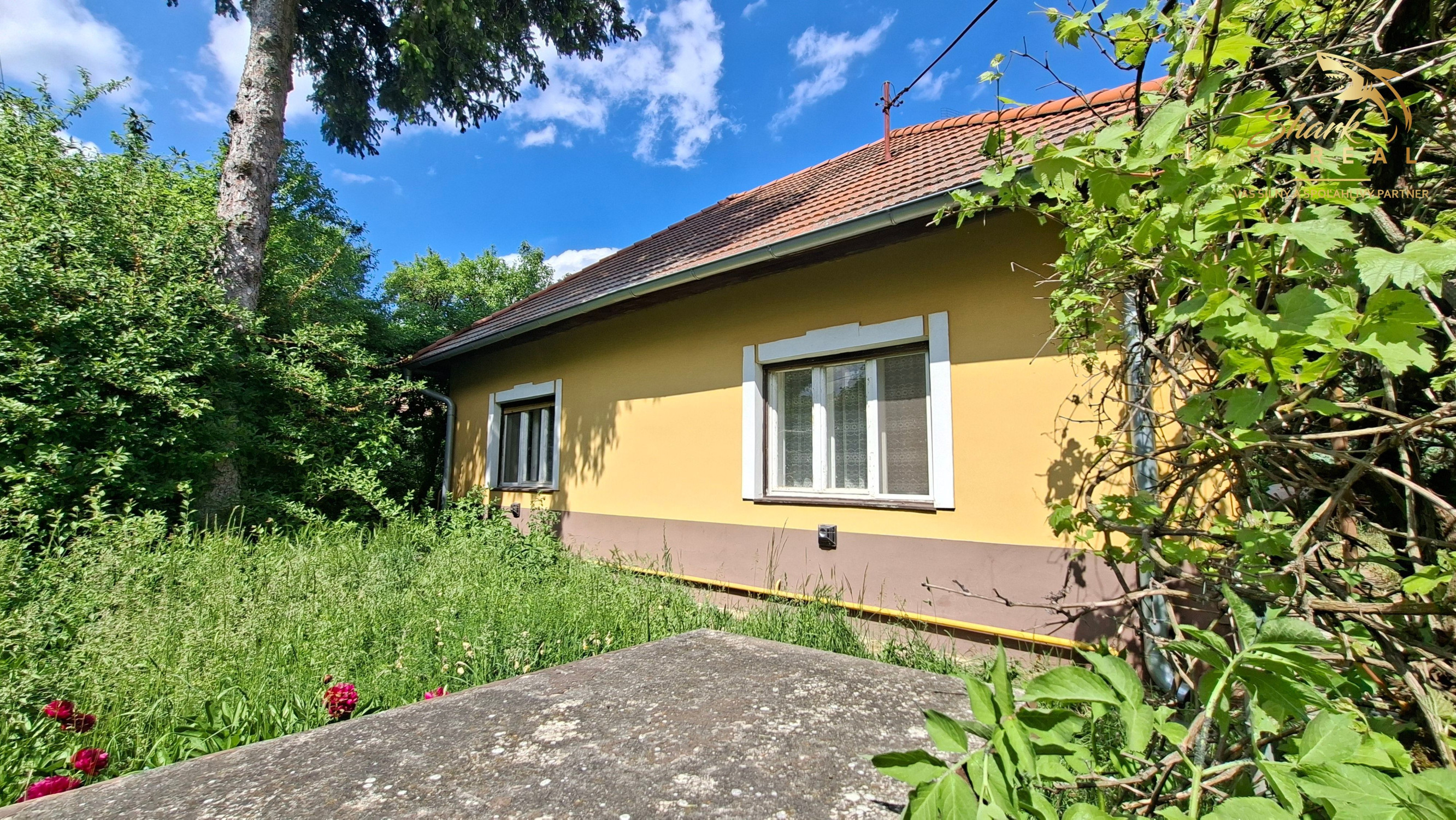 Vidiecky dom so 100 ročnou hruškou