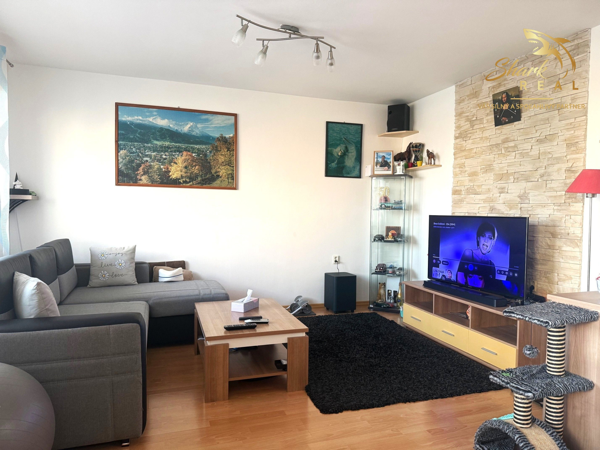 TEHLOVÝ DOM _ 3i byt PREDAJ _ 67 m2 _ centrum Senca
