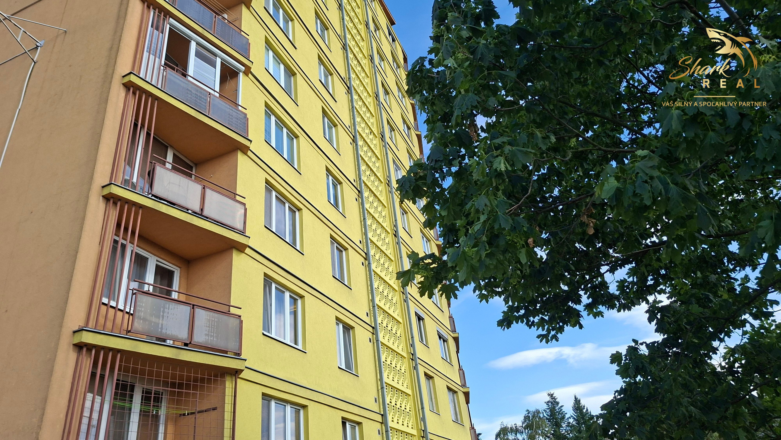 Investičný byt s nájomníkmi, PREDAJ!