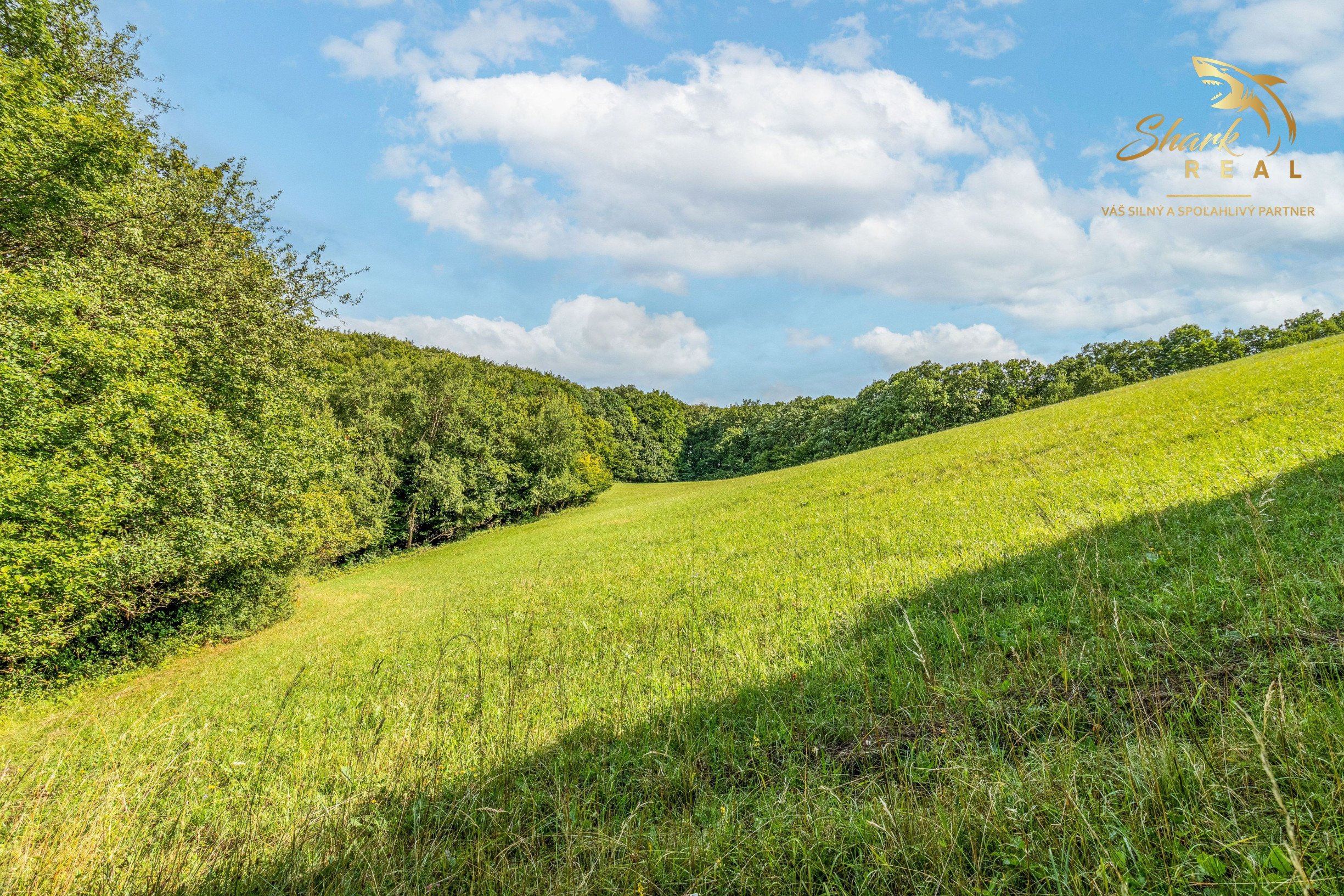 Únik do prírody len pár minút od Trenčína - pozemok 3 780 m²