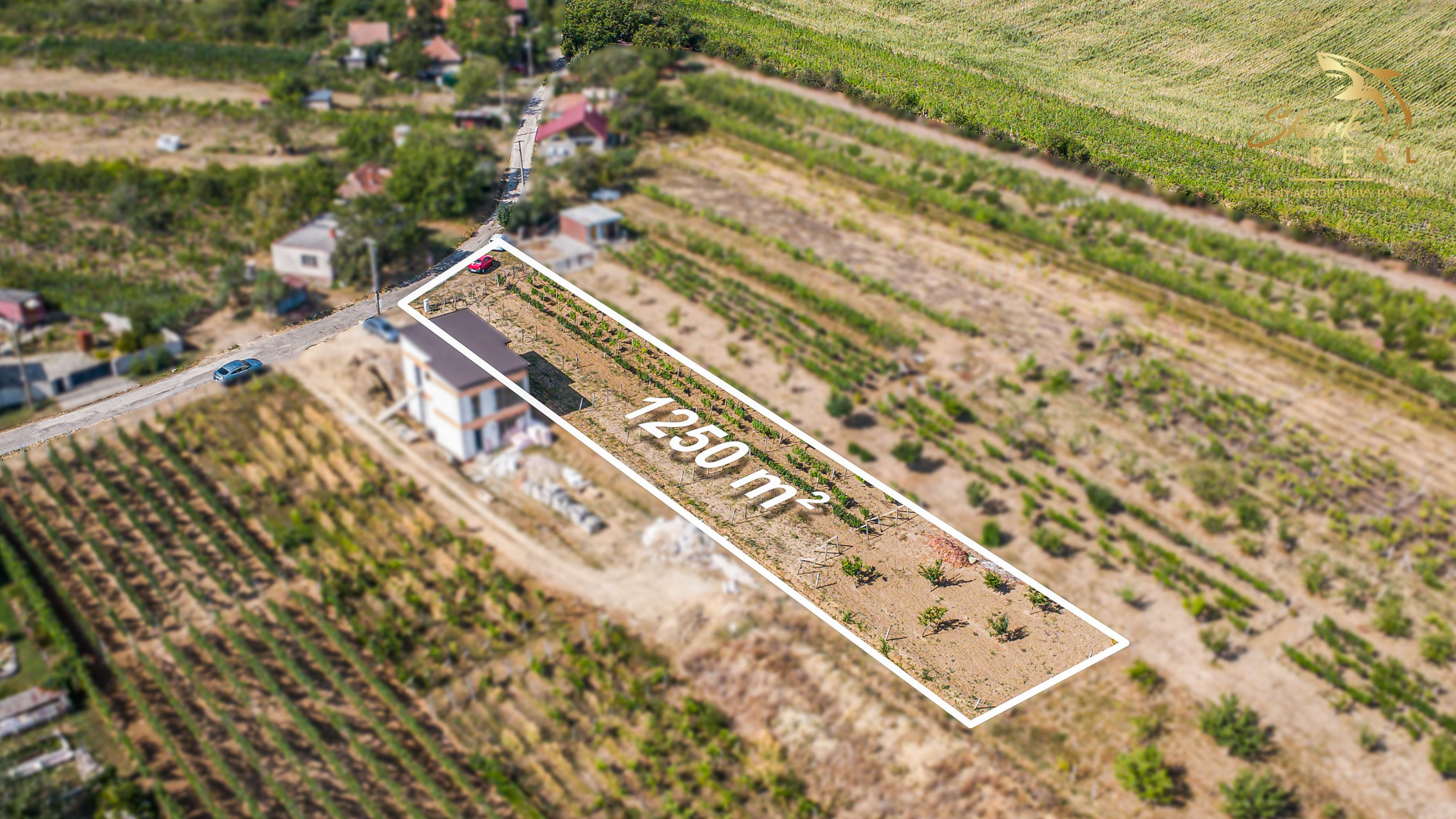 Slnečný pozemok s viničom a nádherným výhľadom
