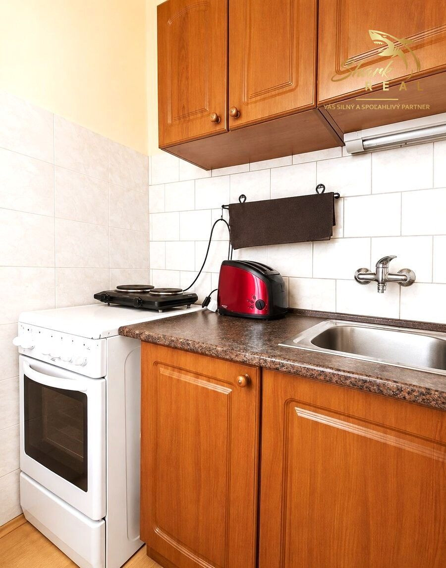 ELEGANT and BRIGHT 2 room apartment FOR RENT