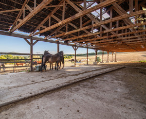 KÚSOK SLOVENSKA PRE VÁŠ FARMÁRSKY SEN – 27 HA, PODKYLAVA