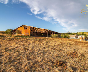 KÚSOK SLOVENSKA PRE VÁŠ FARMÁRSKY SEN – 27 HA, PODKYLAVA