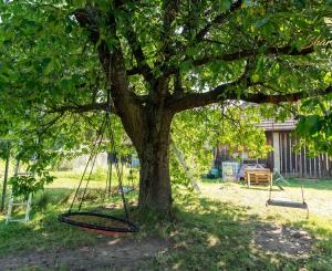 Priestranný rodinný dom s pozemkom 1 623 m² v Pavlovej Vsi – len pár minút od Tatralandie