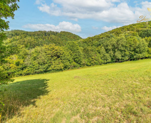 INVESTÍCIA alebo Únik do prírody len pár minút od Trenčína - pozemok 3 780 m²