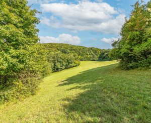 INVESTÍCIA alebo Únik do prírody len pár minút od Trenčína - pozemok 3 780 m²