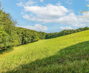 INVESTÍCIA alebo Únik do prírody len pár minút od Trenčína - pozemok 3 780 m²