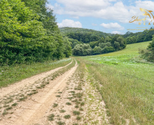 INVESTÍCIA alebo Únik do prírody len pár minút od Trenčína - pozemok 3 780 m²