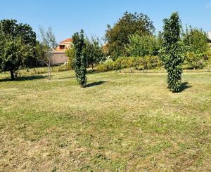 Na predaj 4-izbový vidiecky dom v obci Branč s možnou dohodou na cene