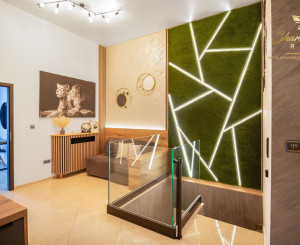 Zabehnuté AirBnb, wellness, alebo prevádzka | Unikátny priestor v centre Bratislavy | Dostupný Ihneď