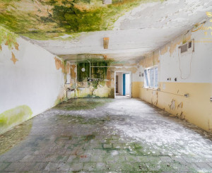 OBCHODNO - SKLADOVÝ PRIESTOR , kaviareň, potraviny alebo iné služby?