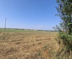 Pozemok na výstavbu rodinného domu