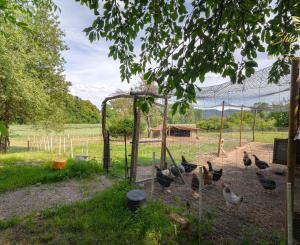 Romantická chalupa v krásnom prostredí kopaníc