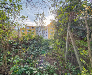 Znížená cena - Jedinečná príležitosť - Historický vinársky dom v samotnom srdci Pezinka