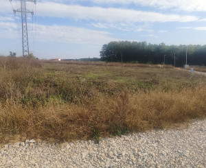 Shark real  ponúka  na predaj pozemok v Nitre,  Lukov dvor.  Plocha: pozemku 1645m2. 