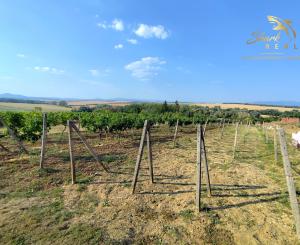 Slnečný pozemok s viničom a nádherným výhľadom