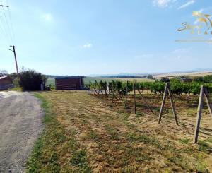 Slnečný pozemok s viničom a nádherným výhľadom