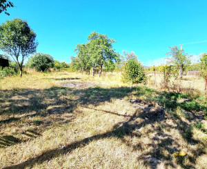 3-izbový tehlový dom s projektom a veľkým pozemkom (17,2 ára) | Veľké Ozorovce