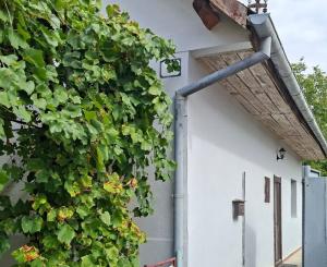 Rodinný dom s pozemkom v pokojnom prostredí obce | Lančár