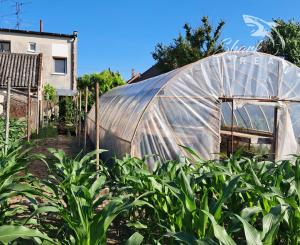 NEPREHLIADNITE! Na predaj 4 izbový rodinný dom v tichej časti obce