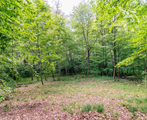 Pozemok v lone prírody s potôčikom– ideálny pre vašu vysnívanú chatu!