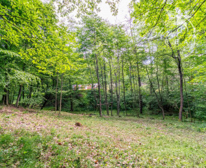 Pozemok v lone prírody s potôčikom– ideálny pre vašu vysnívanú chatu!