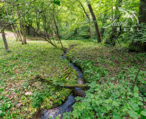 Pozemok v lone prírody s potôčikom– ideálny pre vašu vysnívanú chatu!