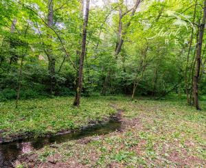 Pozemok v lone prírody s potôčikom– ideálny pre vašu vysnívanú chatu!