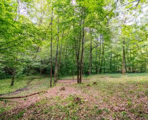 Pozemok v lone prírody s potôčikom– ideálny pre vašu vysnívanú chatu!