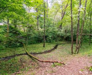 Pozemok v lone prírody s potôčikom– ideálny pre vašu vysnívanú chatu!