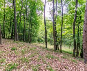 Pozemok v lone prírody s potôčikom– ideálny pre vašu vysnívanú chatu!