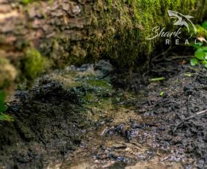 Pozemok v lone prírody s potôčikom– ideálny pre vašu vysnívanú chatu!