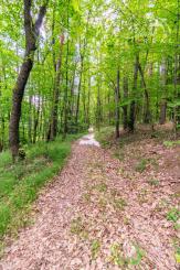 Pozemok v lone prírody s potôčikom– ideálny pre vašu vysnívanú chatu!