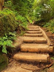 Pozemok v lone prírody s potôčikom– ideálny pre vašu vysnívanú chatu!