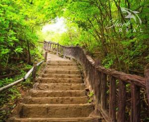 Pozemok v lone prírody s potôčikom– ideálny pre vašu vysnívanú chatu!