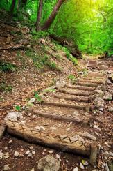 Pozemok v lone prírody s potôčikom– ideálny pre vašu vysnívanú chatu!