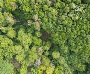 Pozemok v lone prírody s potôčikom– ideálny pre vašu vysnívanú chatu!