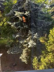 Pekne zariadený 3-izbový byt v centre Ružinova