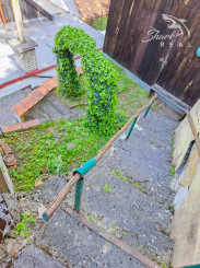 Malebný romantický domček pod lesom