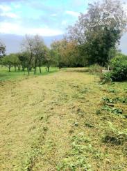 Na predaj slnečný pozemok KUZMICE 1600 m2