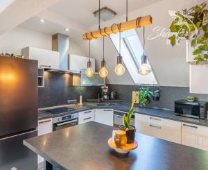 ***VÝNIMOČNÁ NEHNUTEĽNOSŤ LEN 20 km od Trnavy*** úžitková plocha 590 m2***veľký dvor s bazénom a wellnesom***