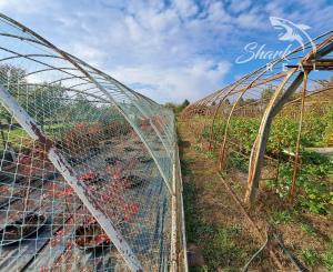 Rodinný dom s pozemkom vhodným na podnikanie
