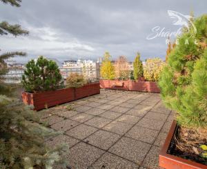 Exkluzívny mezonet s výhľadom na Bratislavský hrad