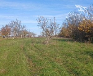 ZNÍŽENÁ CENA! - Pozemok s inžinierskymi sieťami Žemberovce / Levice