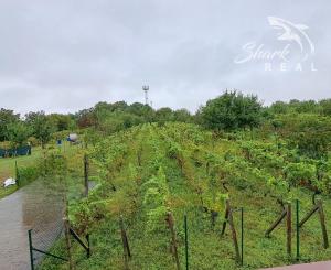 JEDINEČNÁ PONUKA! Rekreačná celoročne obývateľná chata/dom na predaj