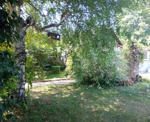 3-izbový RD s príjemnou záhradou 1750m2