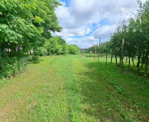 NOVINKA! Rodinný dom na predaj