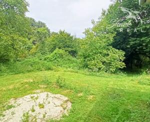 Jedinečná chata v lese, vhodná na investíciu