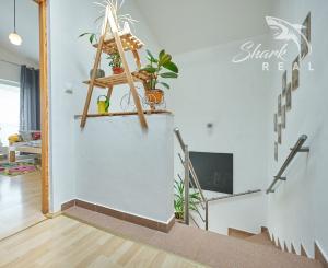 BEZKONKURENČNÁ CENA!  Slnečný 5-izbový rodinný dom na Slnečnej ulici